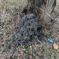 Вологдагорводоканал обращает особое внимание на правила пользования канализацией